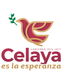 Logo Celaya